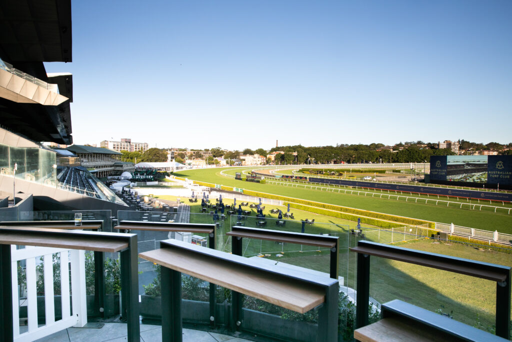 Winx Galleries North - Terrace View